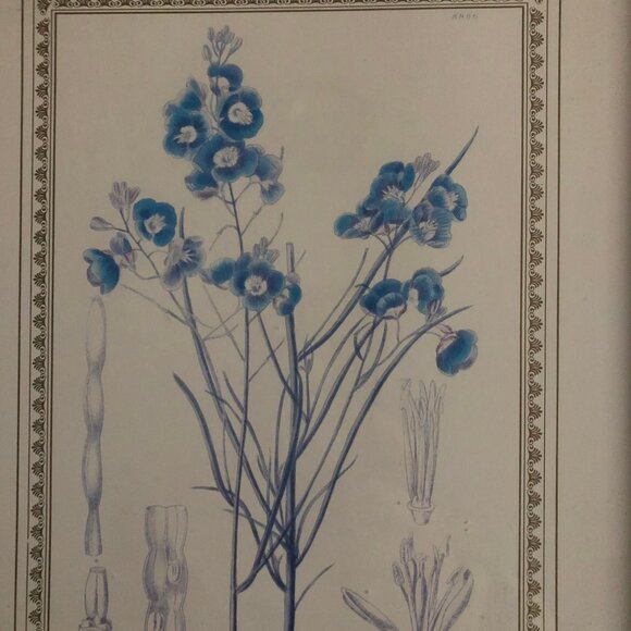Two wall decor with flowers art prints and nice frames home decoration - Picture 2 of 9